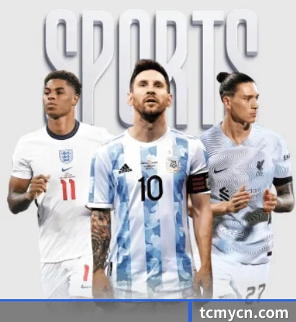B体育 APP 界面（BtySports）